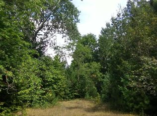 1448 Badgley Road 40 Acres, Vanderbilt, MI 49795