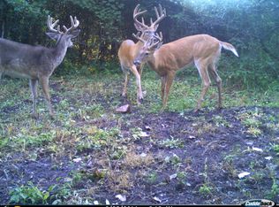 6700 Herrington Rd, WEBBERVILLE, MI 48892