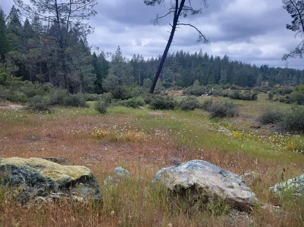 1150 Bar Bach Rd, Garden Valley, CA 95633