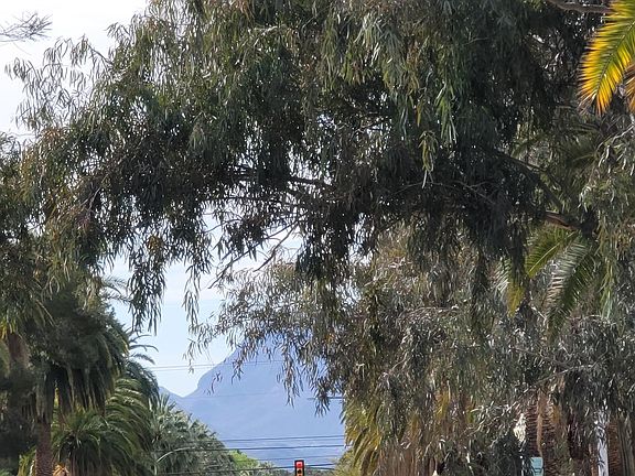 East entrance to UA from in front of the property.