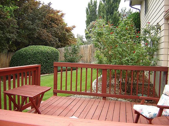 back yard