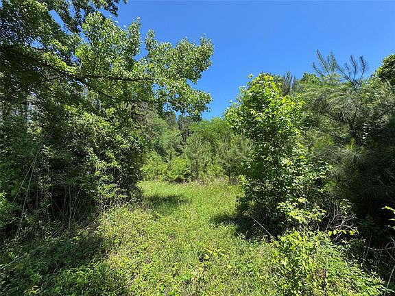 5th image of 2374 Holly Grove Rd