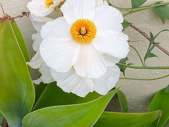 3rd image of 408 Plaza Rubio