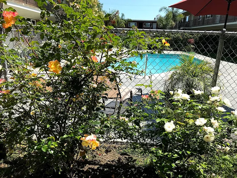 ALAMEDA PARK APARTMENTS — Photo 15