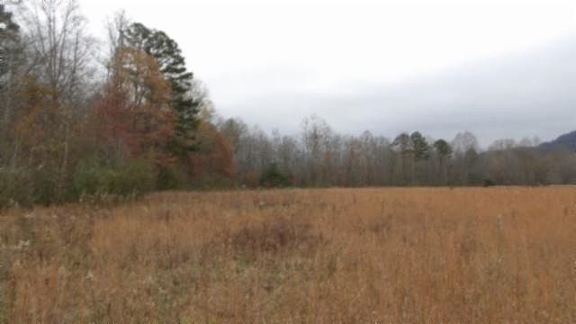 1st image of 761 Petit Ln