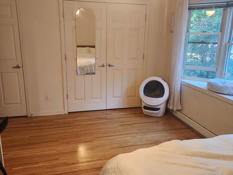 14 Seymour St #2 — Photo 6