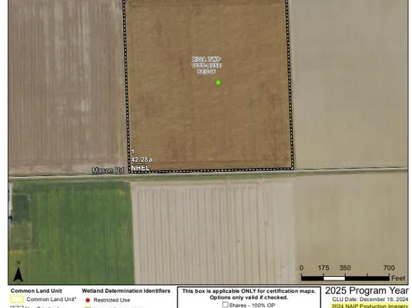 10000 Mason Rd, Blissfield, MI 49228