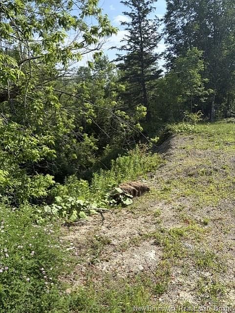 1st image of 340 Milltown Blvd