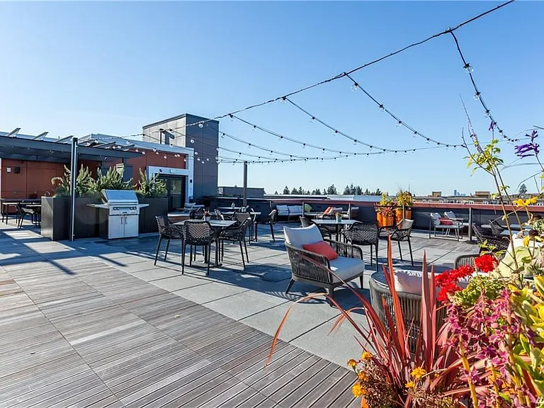 Amenities - rooftop