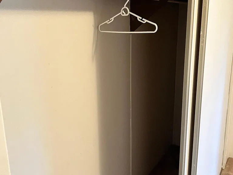 bedroom #1 closet