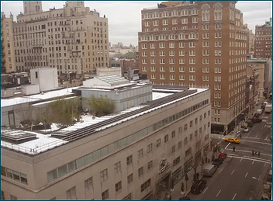 Rented by Brown Harris Stevens | media 1