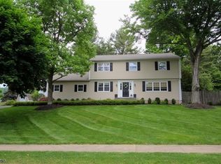 11 Bowers Dr, Mendham, NJ 07945