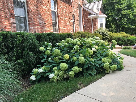 4th image of 1137 Galloway Dr