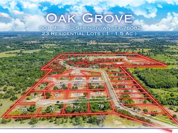 324 Jonny Boy Way, Springtown, TX 76082