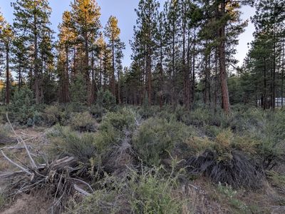 Bufflehead Dr #9, Bonanza, OR, 97623