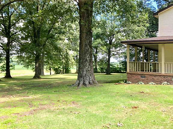5th image of 32 Cox Ln