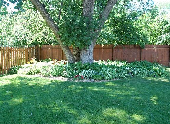 3rd image of 1380 Pike Lake Ct N