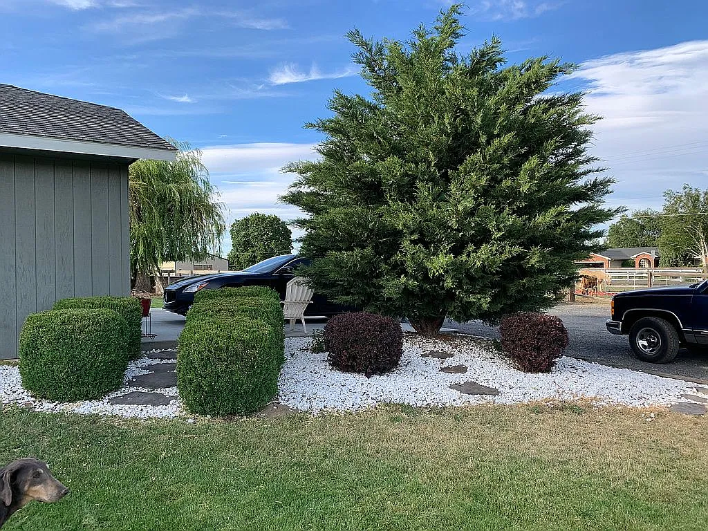 2900 S 79th Ave photo 1
