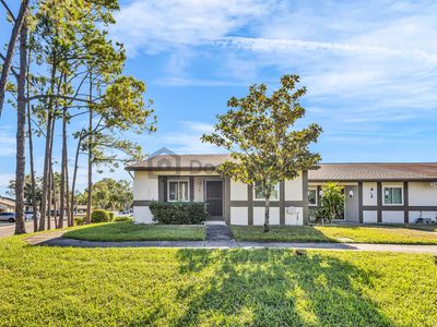 2900 Grovewood Blvd APT A, Palm Harbor, FL, 34683