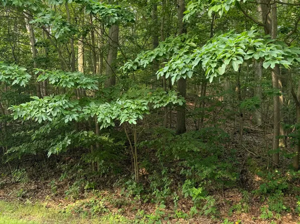 Wildwood Dr, West Olive, MI 49460
