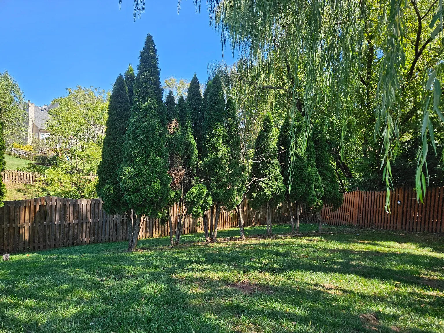 21146 Mayapple Pl — Photo 2