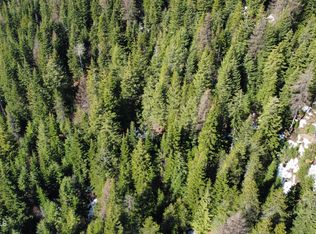 0 Adams Creek Rd, Fernwood, ID 83830