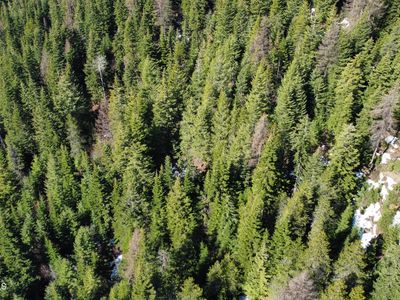 0 Adams Creek Rd, Fernwood, ID, 83830