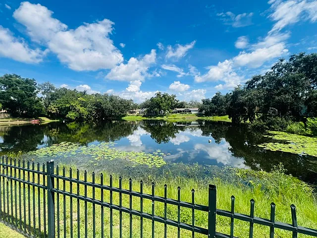 Amazing Carrollwood Home Ready For Move In! — Photo 3