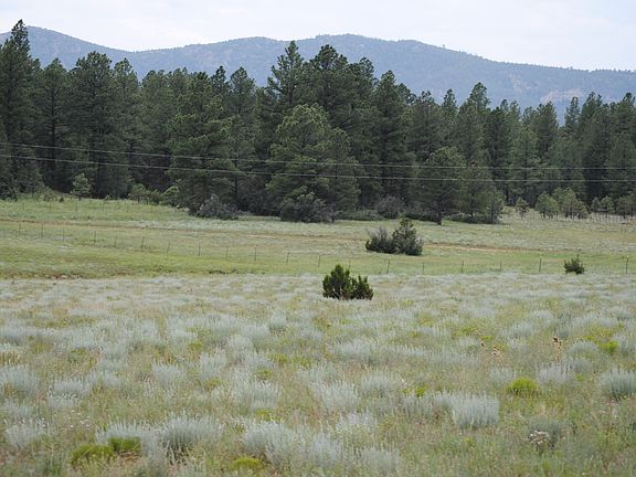 2nd image of Susan K Ln #A19a