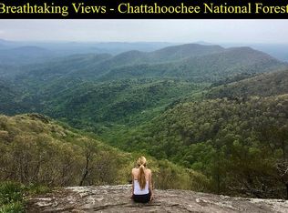 1111 N Cut Ln, Ranger, GA 30734