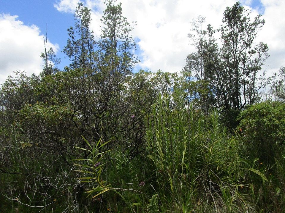 2nd image of Silversword Dr Lot 16