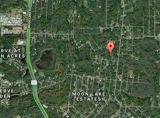 12560 Pallanza Loop, New Port Richey, FL 34654