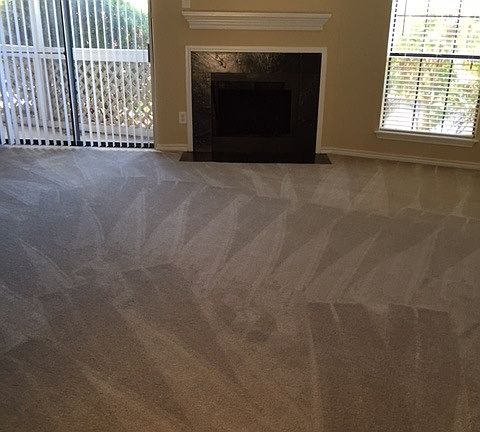 Woodburning Fireplace