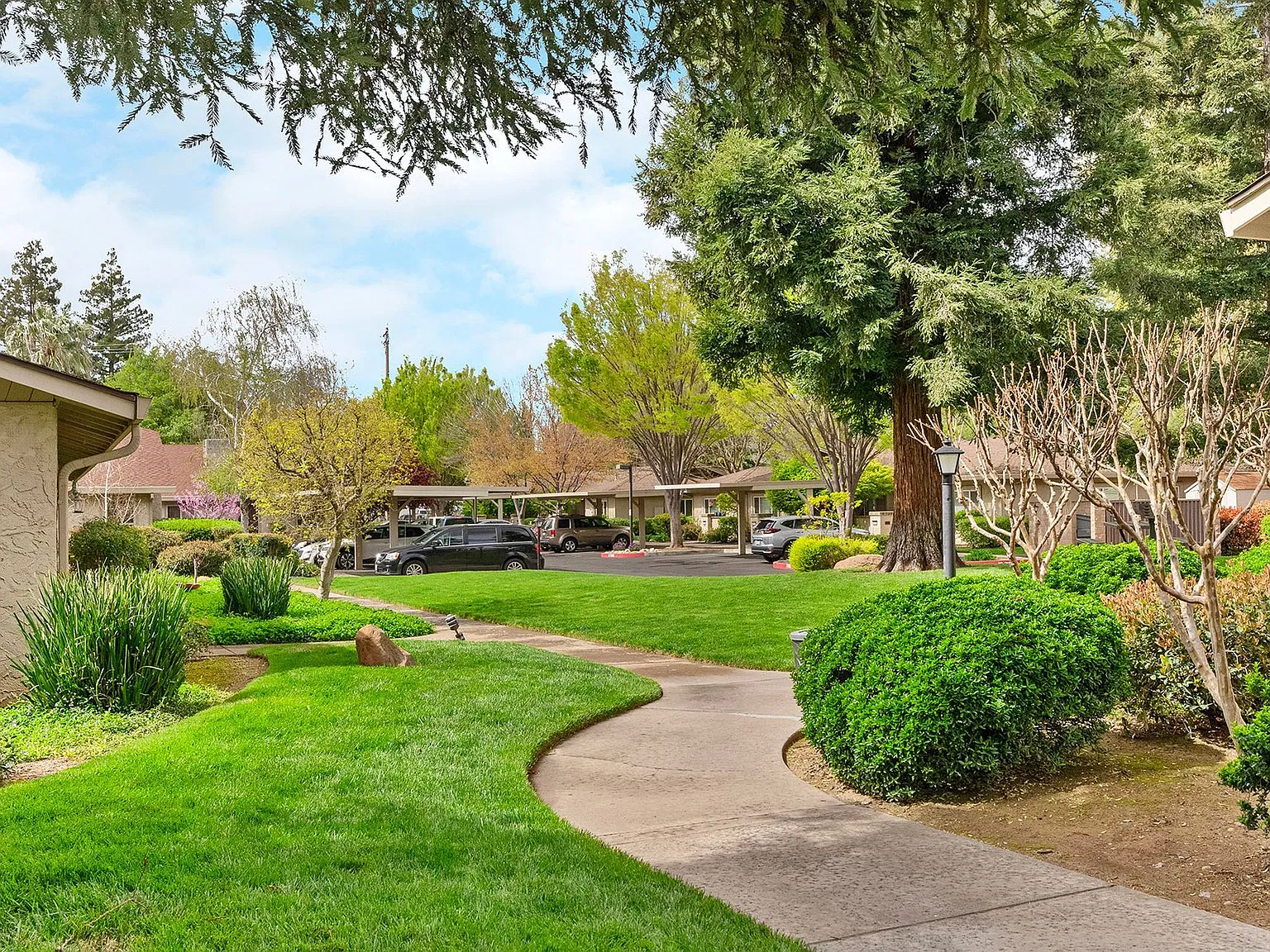 Cedar Springs — Photo 1