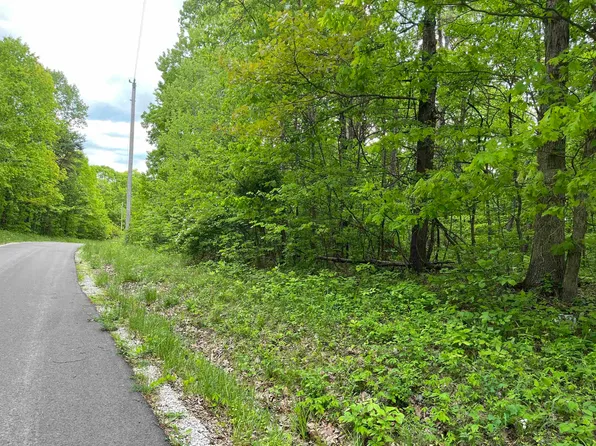 0 Township Road 160, Pedro, OH 45659