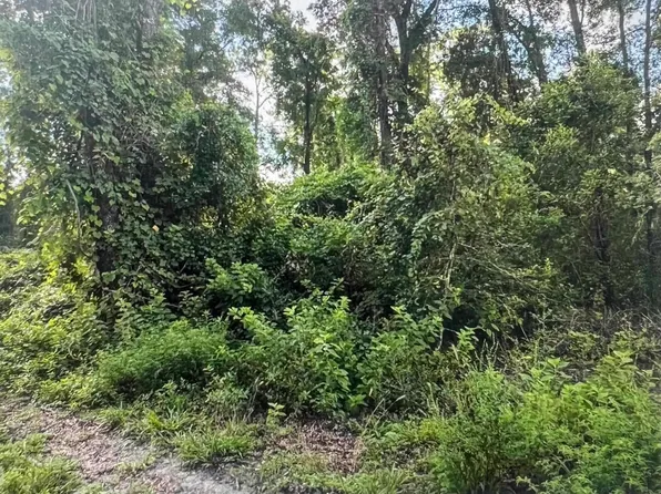 0 Ashley Hall Rd, Crawfordville, FL 32327