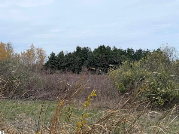 N A Manor Rd, Au Gres, MI 48703