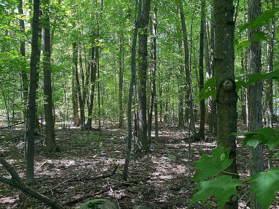 2 acres of maple trees
