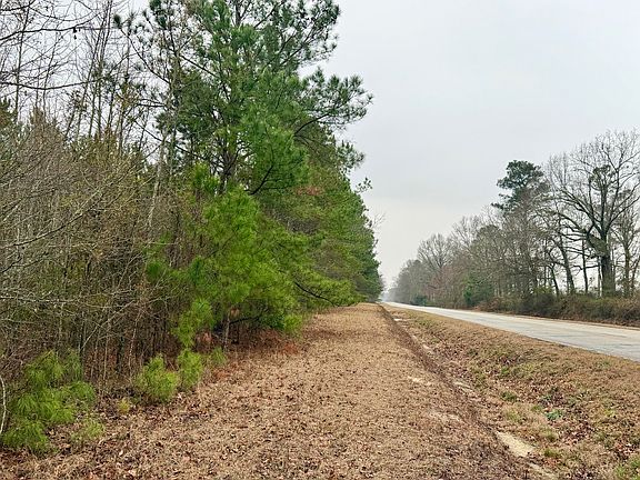 5th image of 19.3 Acres Ga-305