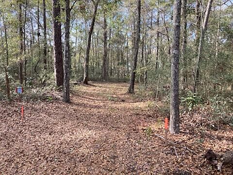 1st image of 4636 Maybank Hwy
