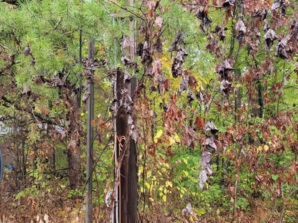 9999 Sandy Hills Cir, Corbin, KY 40701