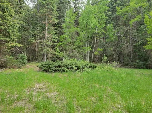 Pinion Rd, Duck Creek Village, UT 84762