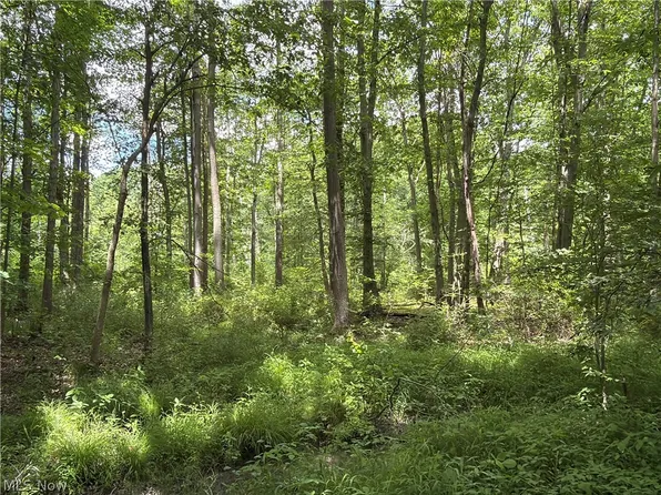 Crosby Cook Rd, Rome, OH 44085