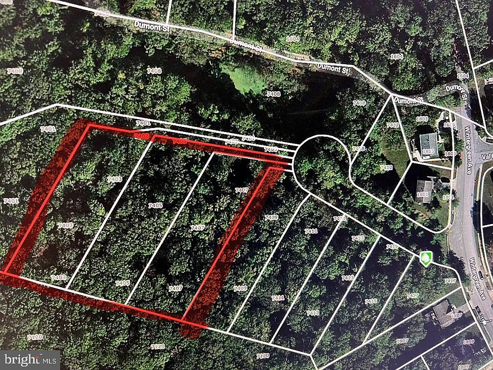 2nd image of 7407 Loganwood Ct