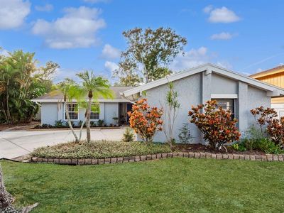 3928 Orchard Hill Cir, Palm Harbor, FL, 34684