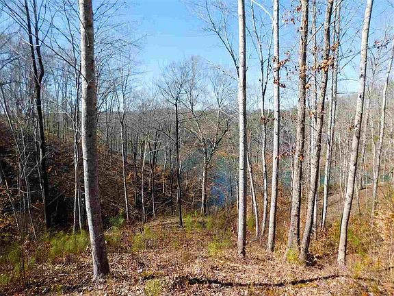 5th image of 248 Piney Woods Trl