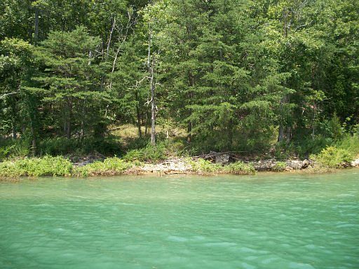 1st image of Norris Shores Dr