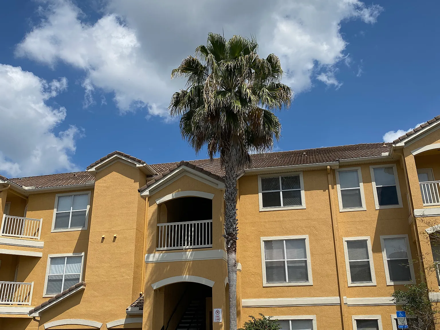 2 bed, 1076 sqft, $1,650 — Photo 3