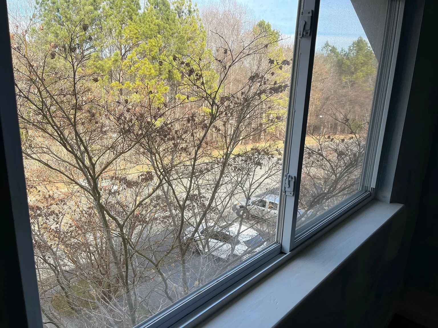 303 Smith Level Road — Photo 4
