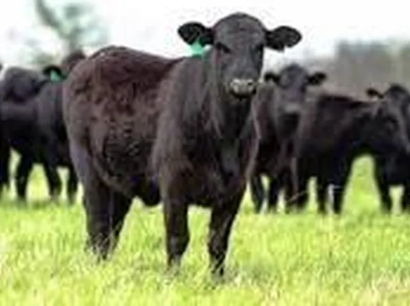 132 N 51 Highway Highway Lot 14 #19N-08W, Hennessey, OK 73742